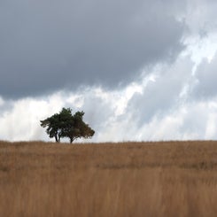 pa110108jpg.jpg