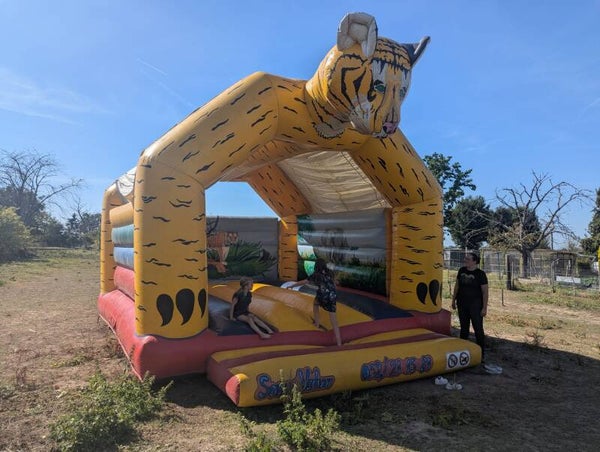 Tijger 5,50x6,50m