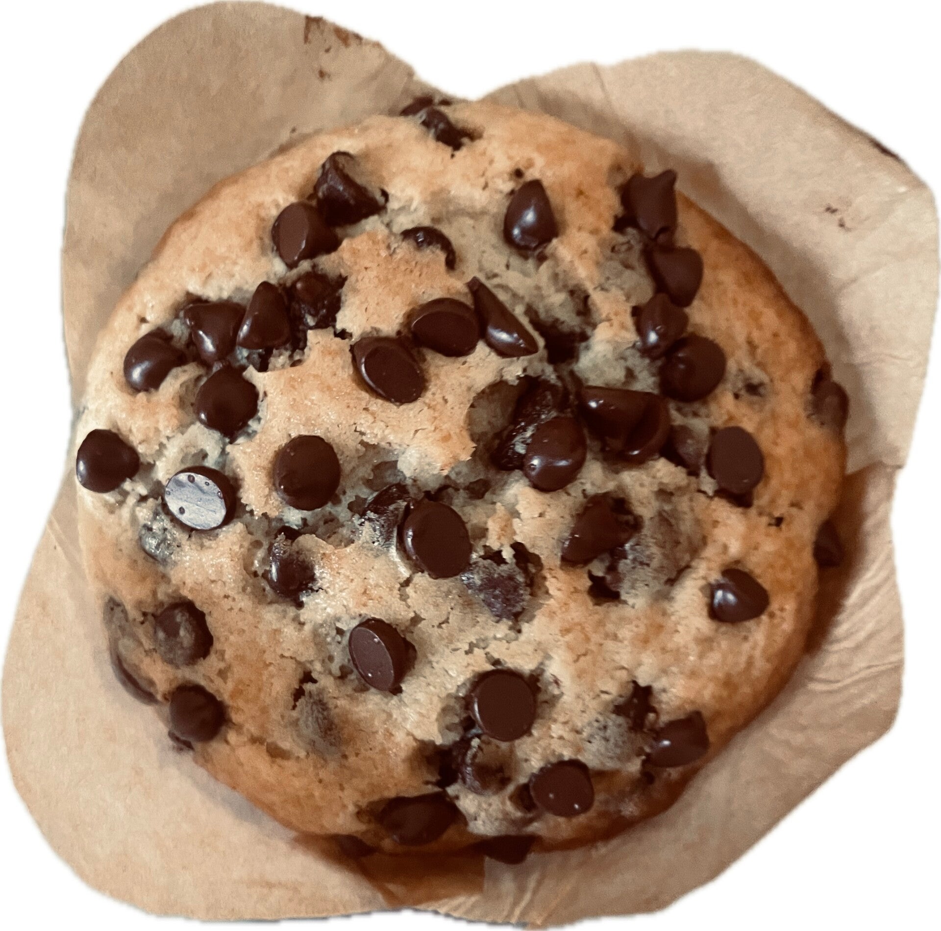 Sourdough Chocolate Chip Muffins