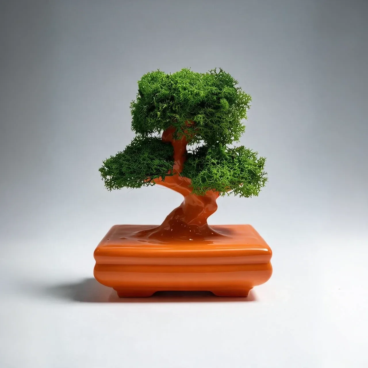 Bonsai Zen in Porcellana