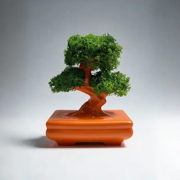 Bonsai Zen in Porcellana