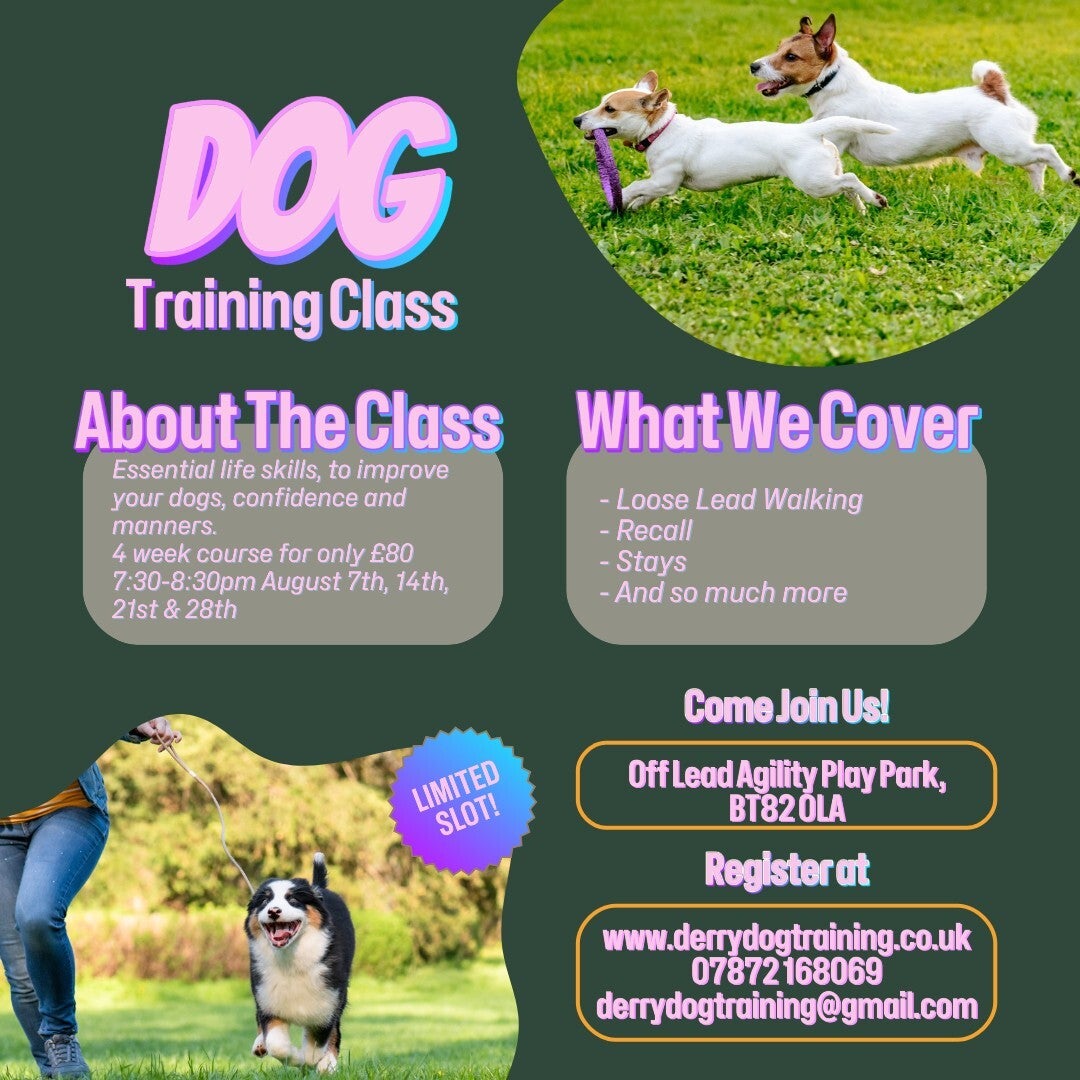 Obedience Training Derry Dog Training