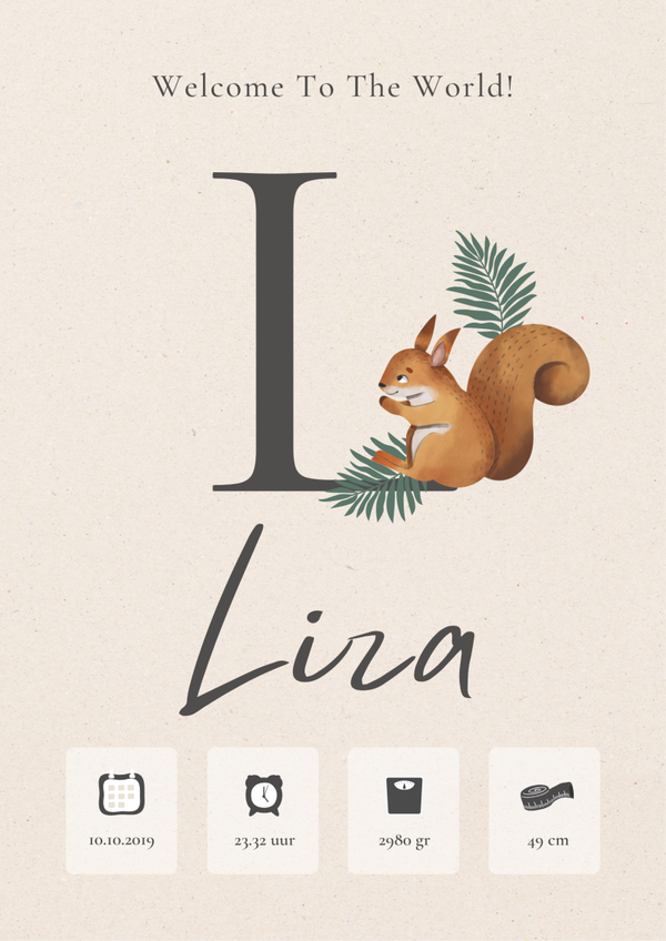 Geboorteposter Digitaal