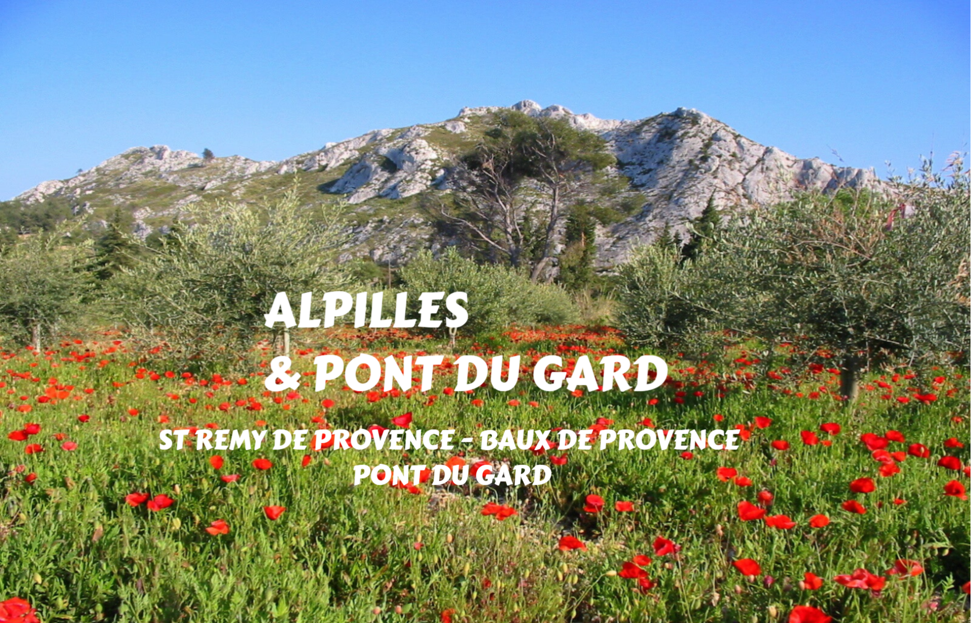 Explore the Alpilles around Saint-Rémy de Provence , Les Baux and the 'Pont du Gard'.