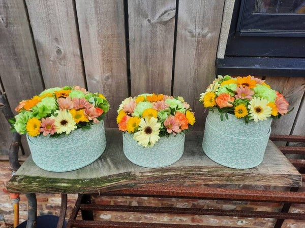 Zomerse flowerbox