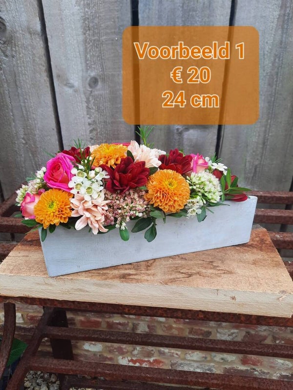 Voorbeeld 1