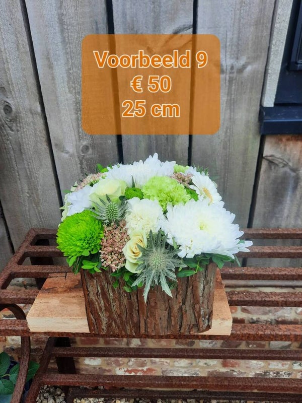 Voorbeeld 9