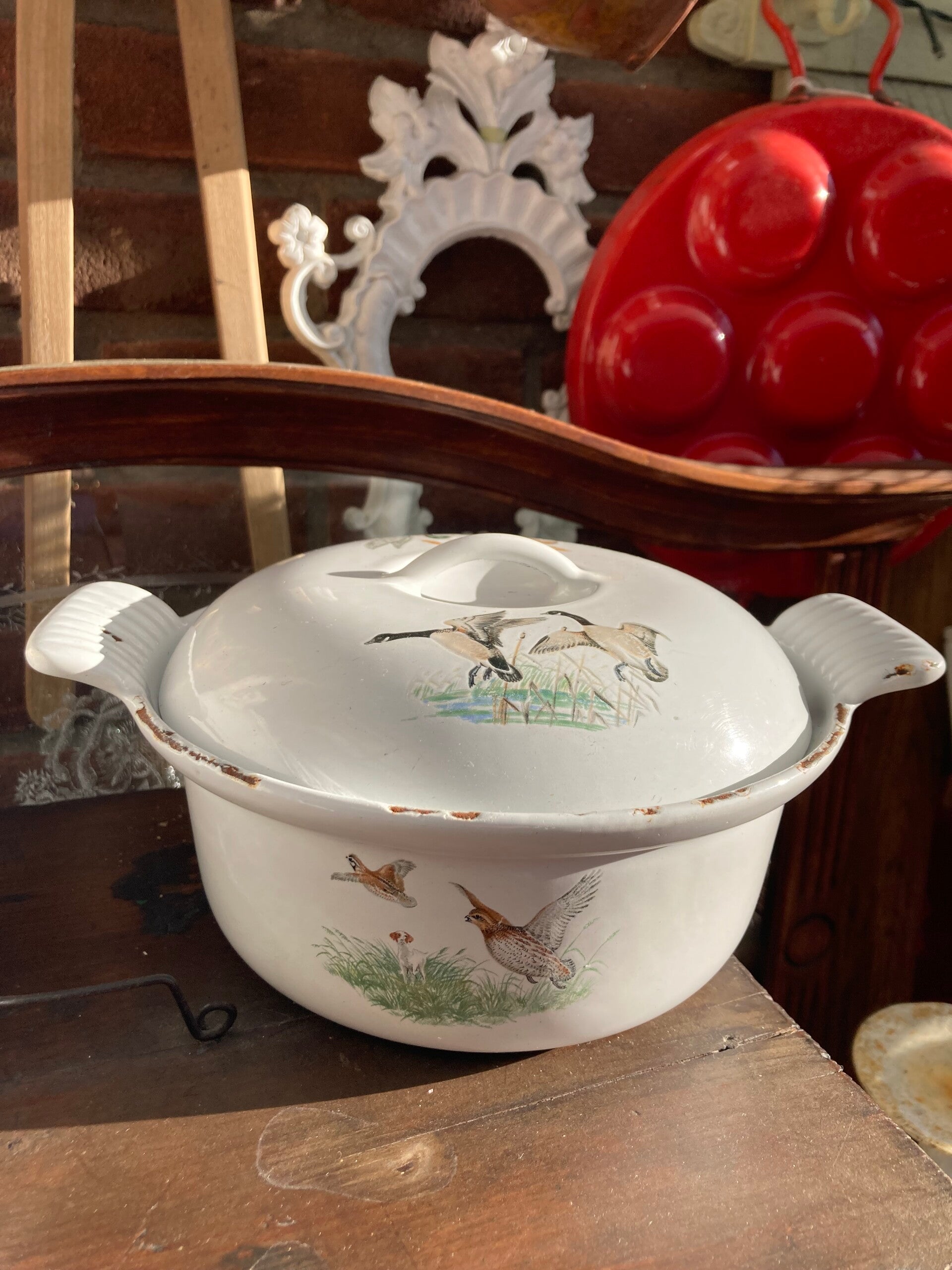 Wit gietijzeren braadpan met eenden