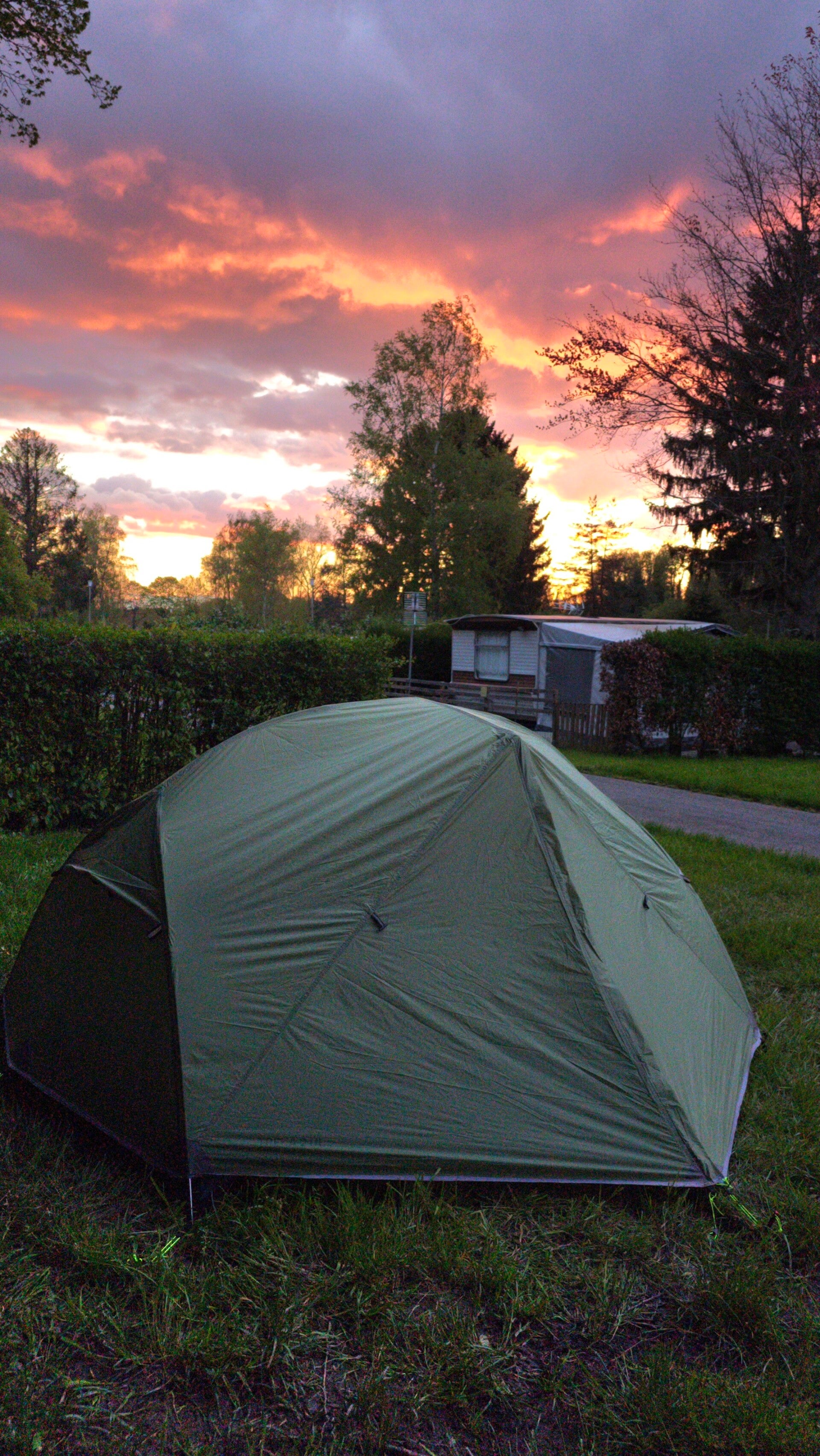 20240421_204211-standard-5q9du9.jpg