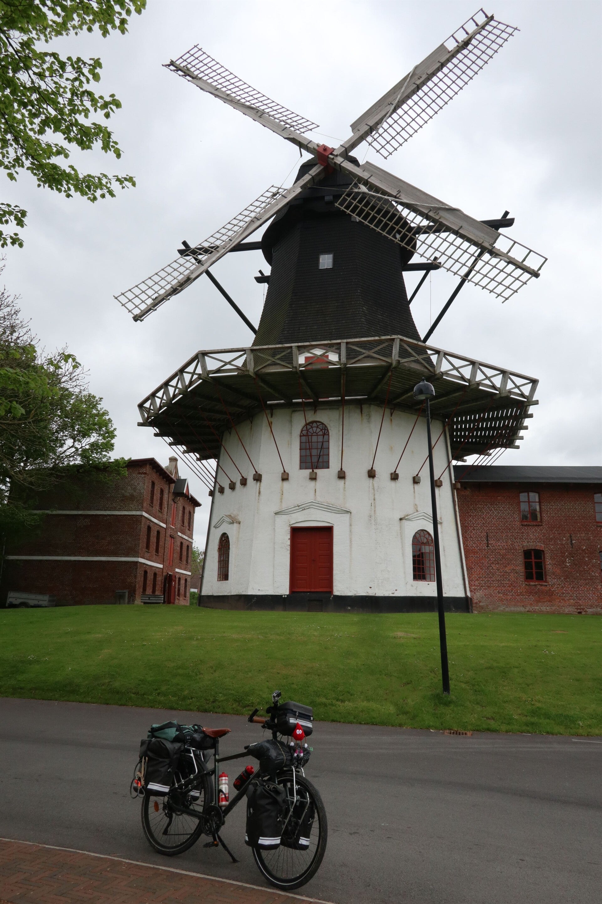 img_3448-standard.jpg