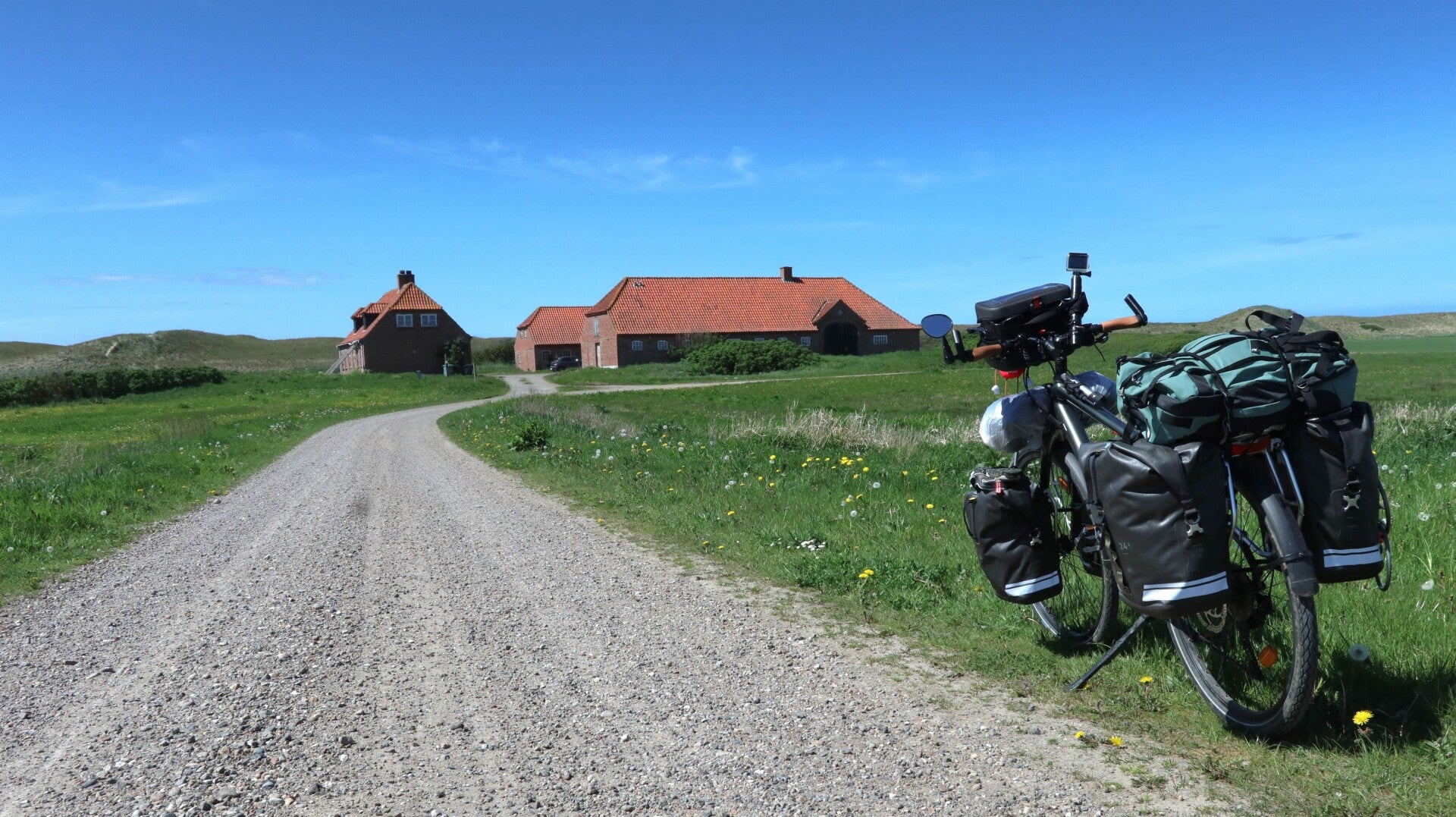 img_3525-standard.jpg