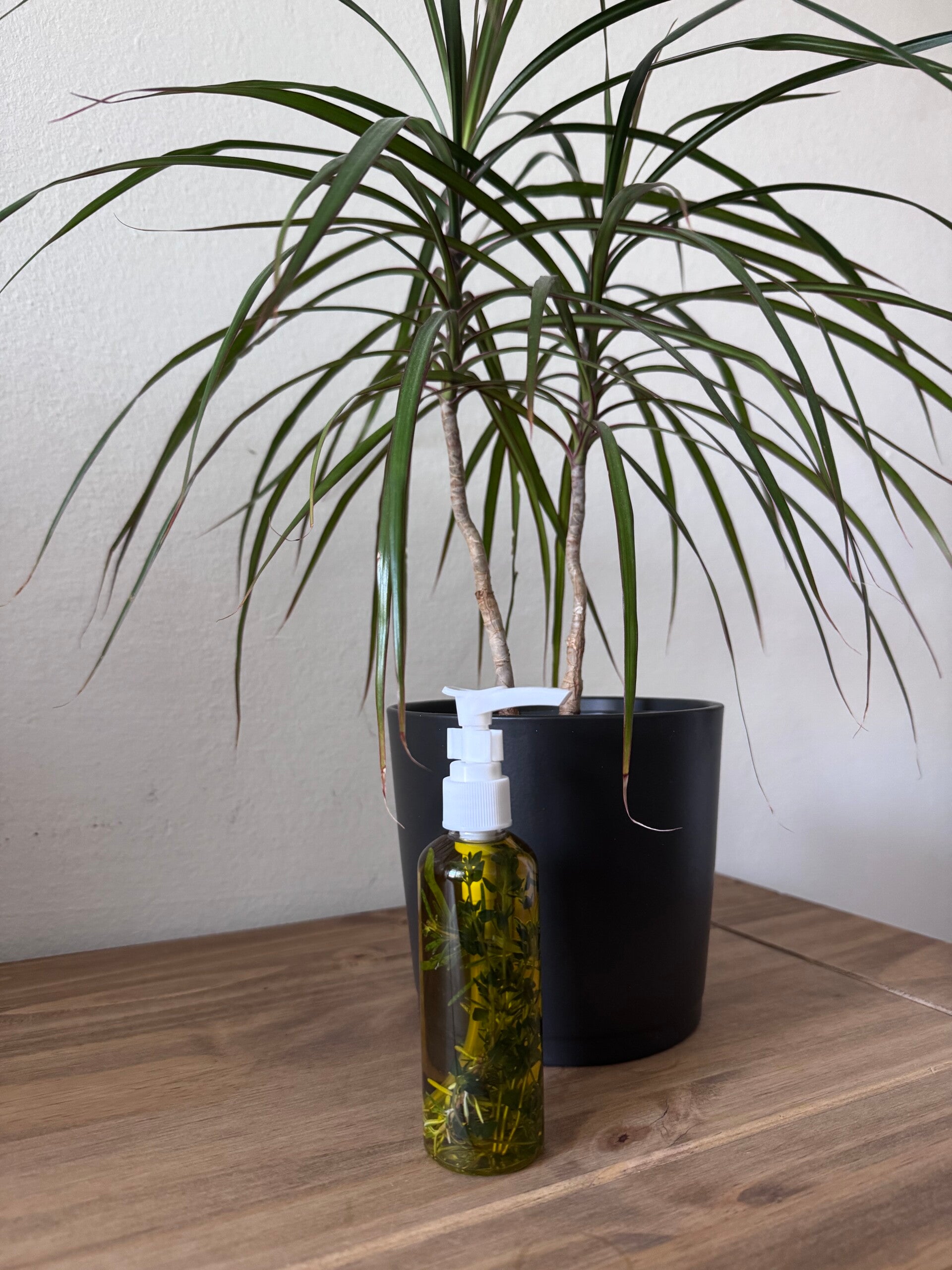 Bio Olivenöl mit Thymian und Rosmarin