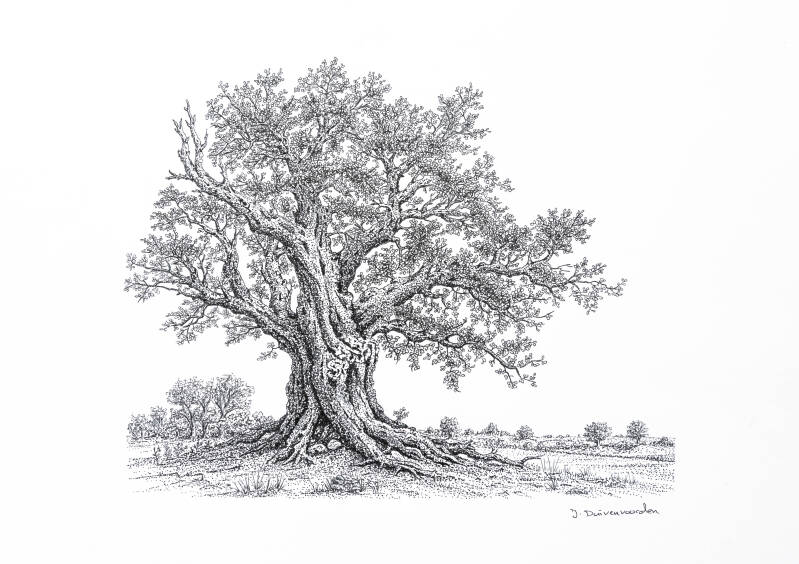 Botanic