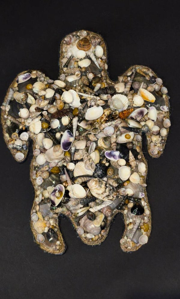 Schildkröte Muschel Art  Dekoratrion