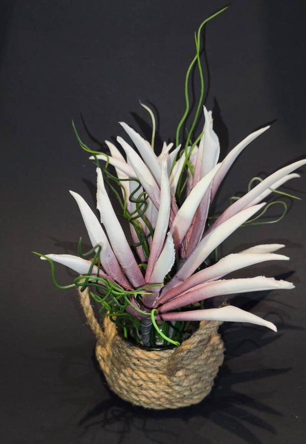 Dekorationsartikel / Wohndeko / Gartendeko / Baddeko / Pflanze