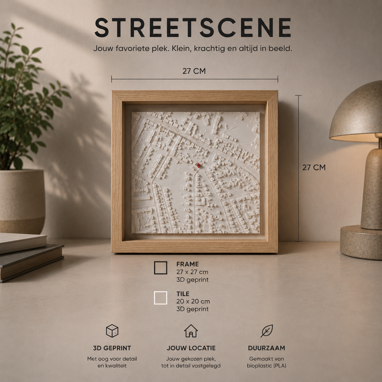 TopoFrame - StreetScene