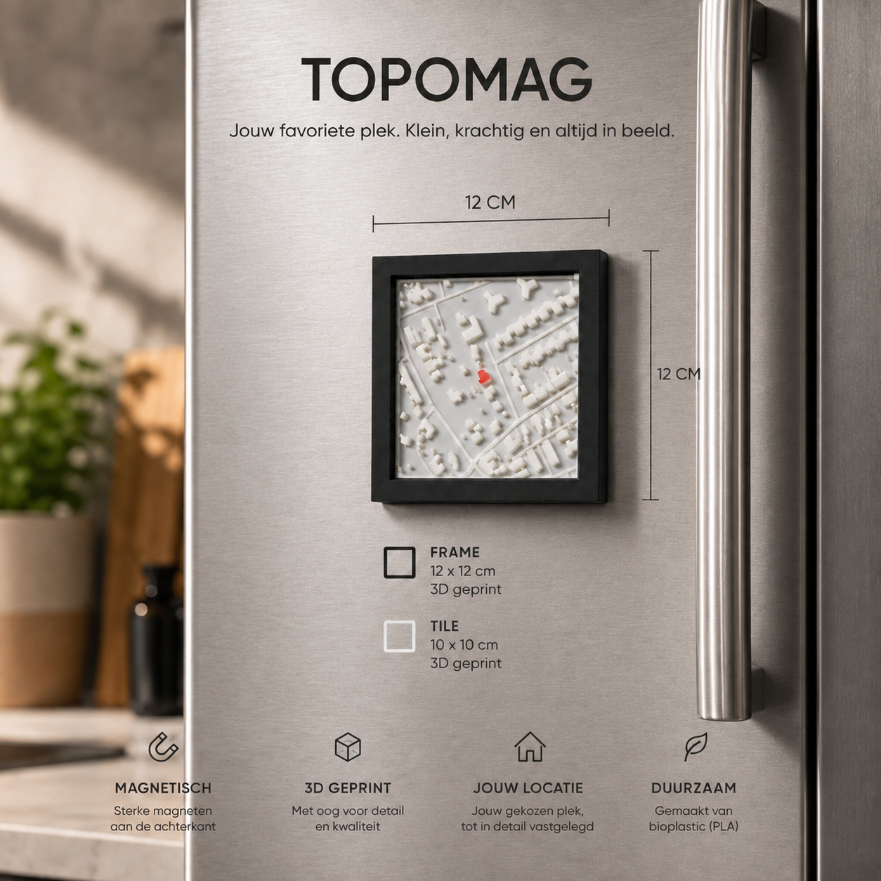 TopoMag
