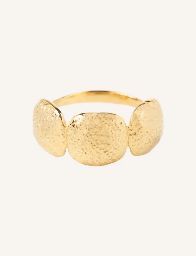 Ring RVS goud | triple