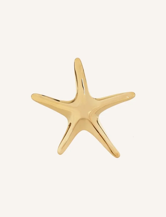 Ring RVS goud | zeester