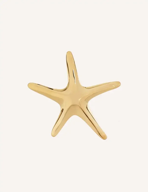 Ring RVS goud | zeester