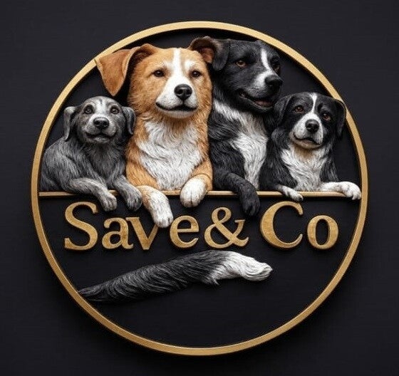 Education de base personnalisée 10 séances