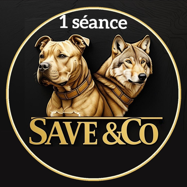 Education de base personnalisée