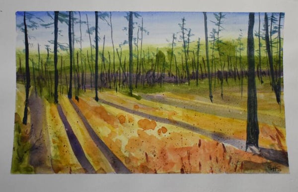 Lengthening Shadows