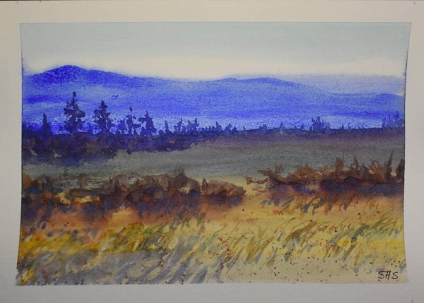Fall Fields