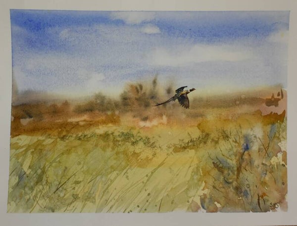 Pheasant in Flight