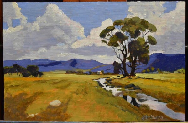 Irrigated Farmland