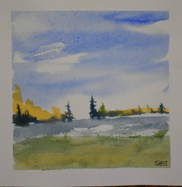 Mountain Meadow
