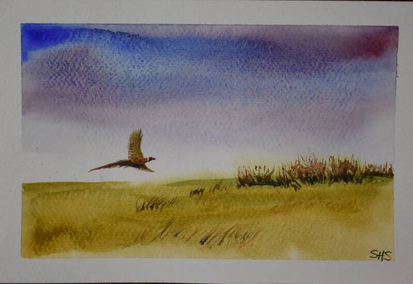 Pheasant Flying Low