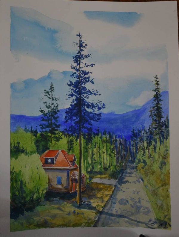 Pine Forest Cottage