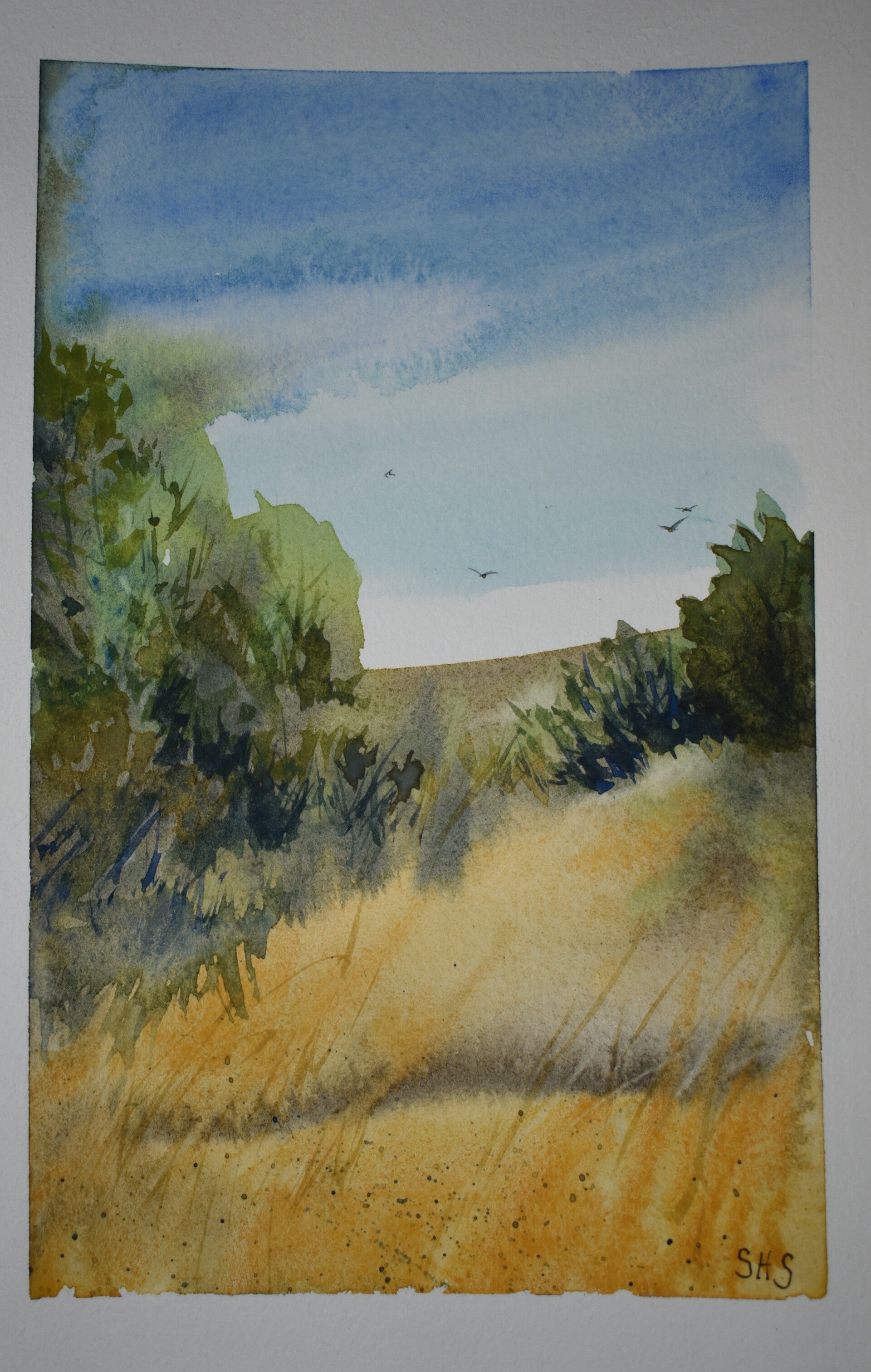 Flock in the Field