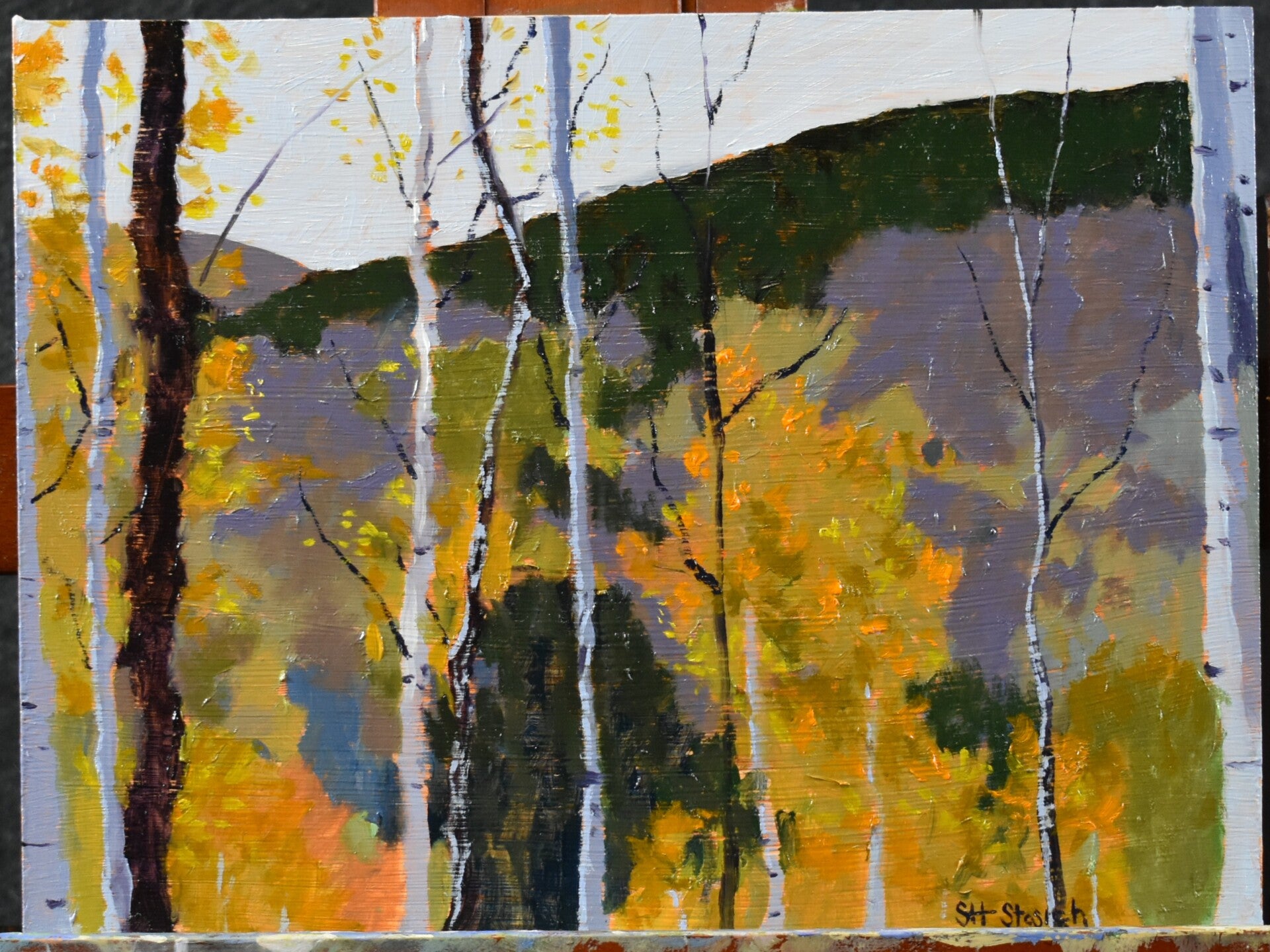 Autumn in the woods