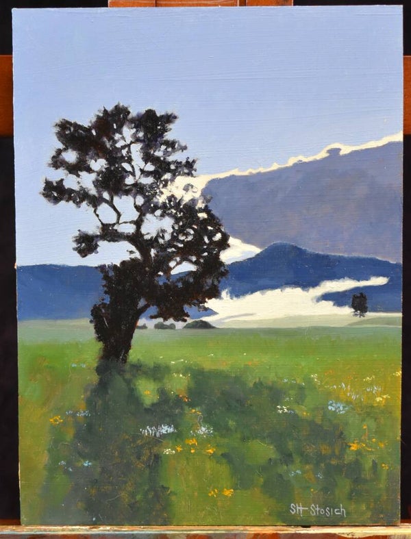 Silhouetted Tree