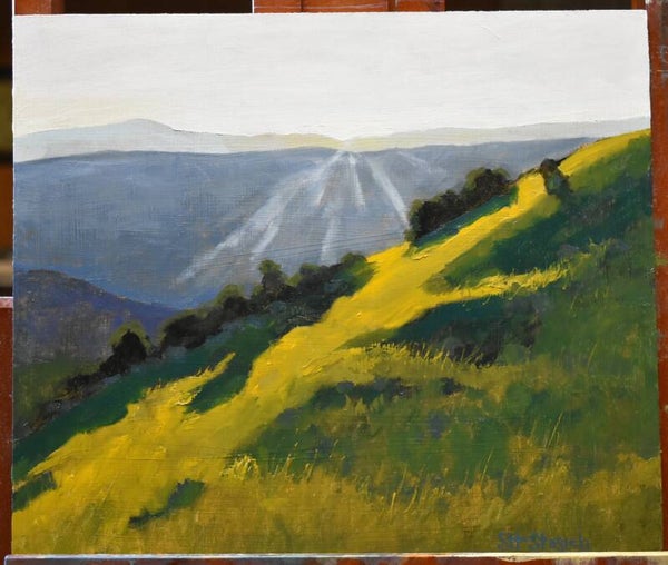 Sun-kissed Hill