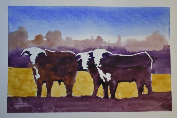 Herford Cows