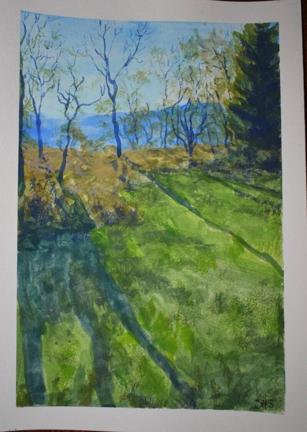 Green Mountain Meadow