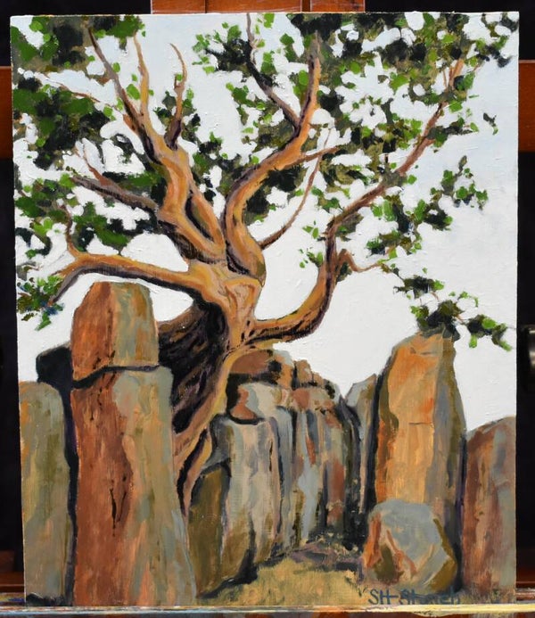Mother Tree
