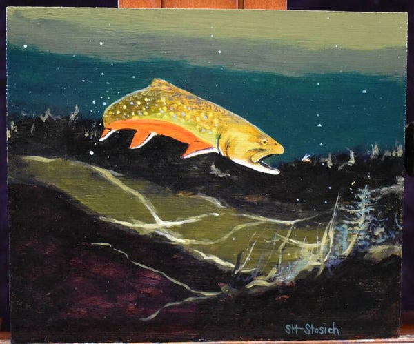 Brook Trout