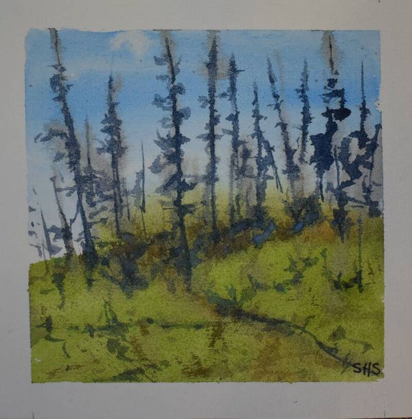 Pines