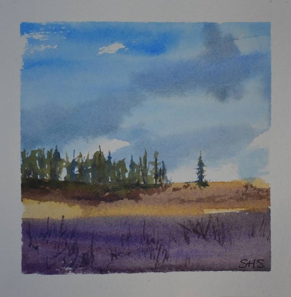 Lone pine