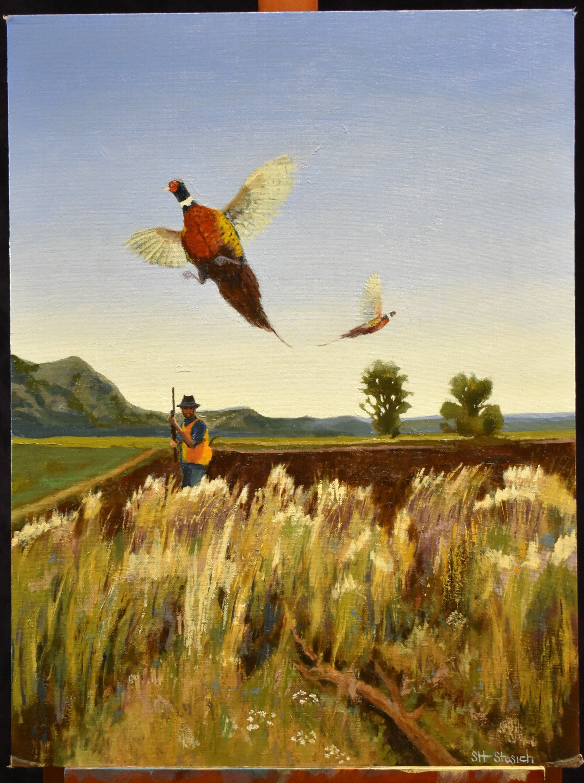 Hunting Pheasants