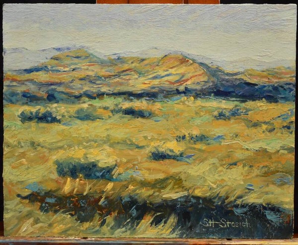 Desert brushes