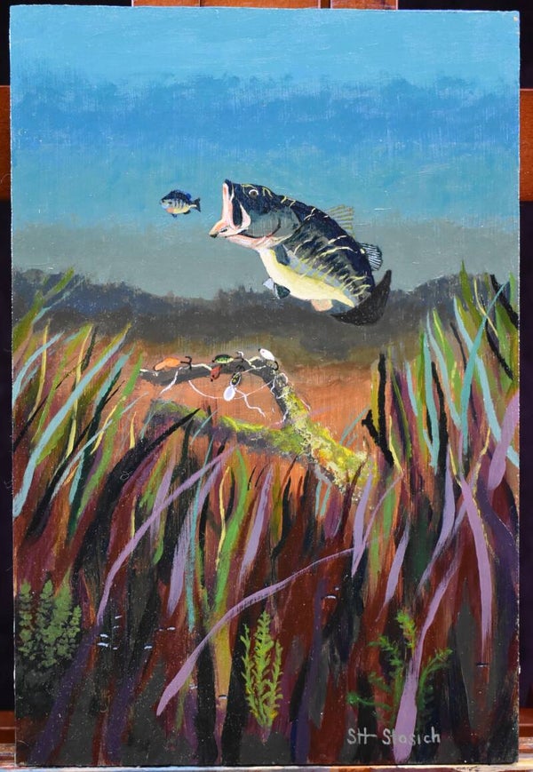 Bass Fishing