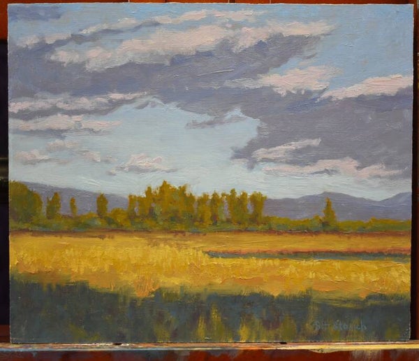 Cultivated Field
