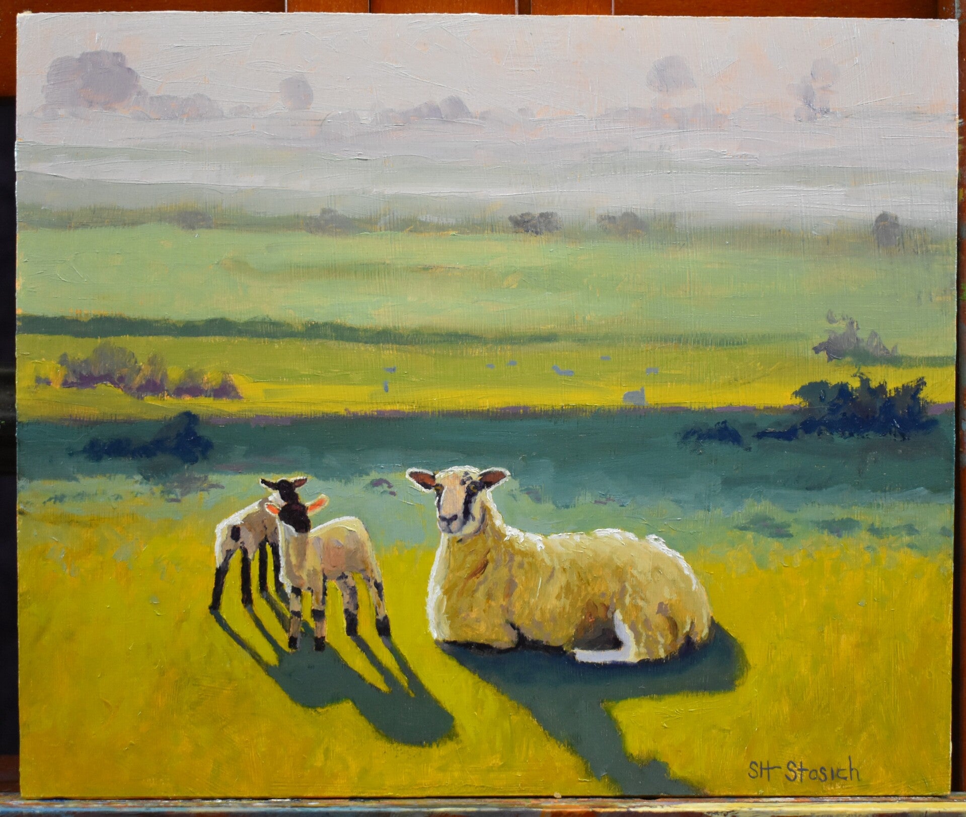 Ewe with Twin lambs