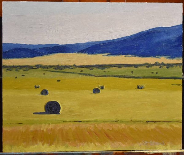 Haybale field