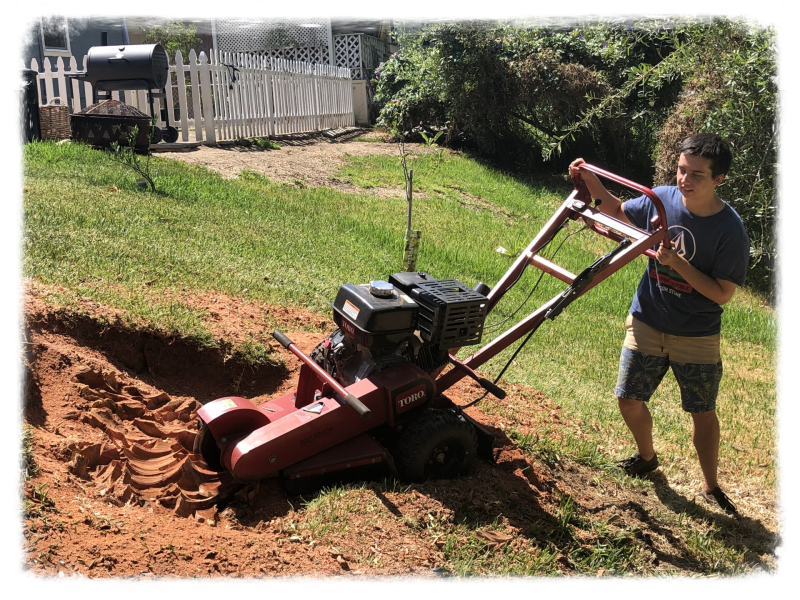 The Creative Expressions of Andrew Roger Teske.